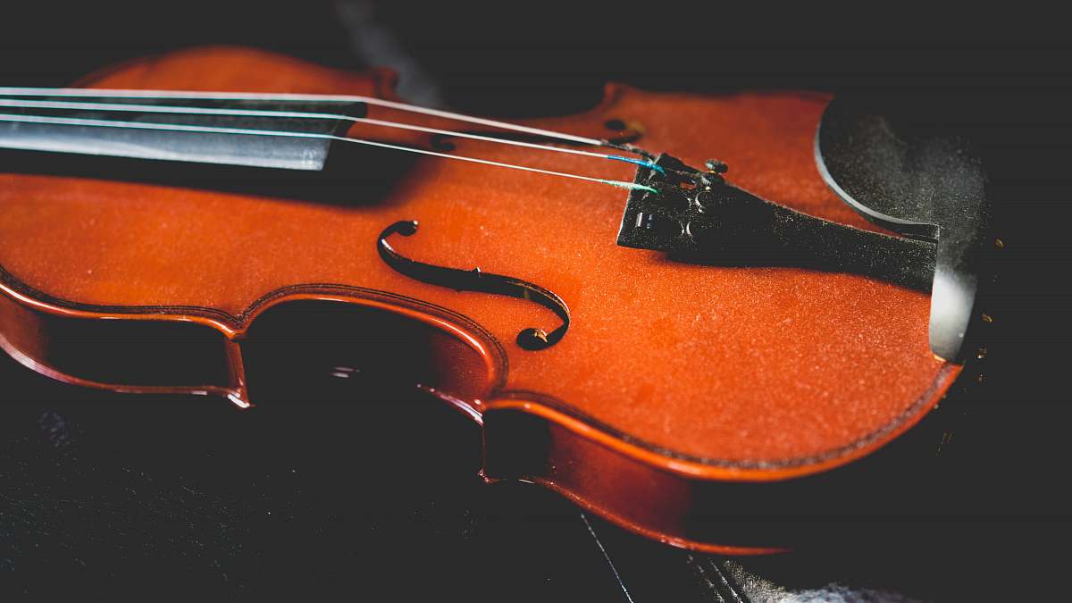 musical instrument closeup photo of brown violin violin